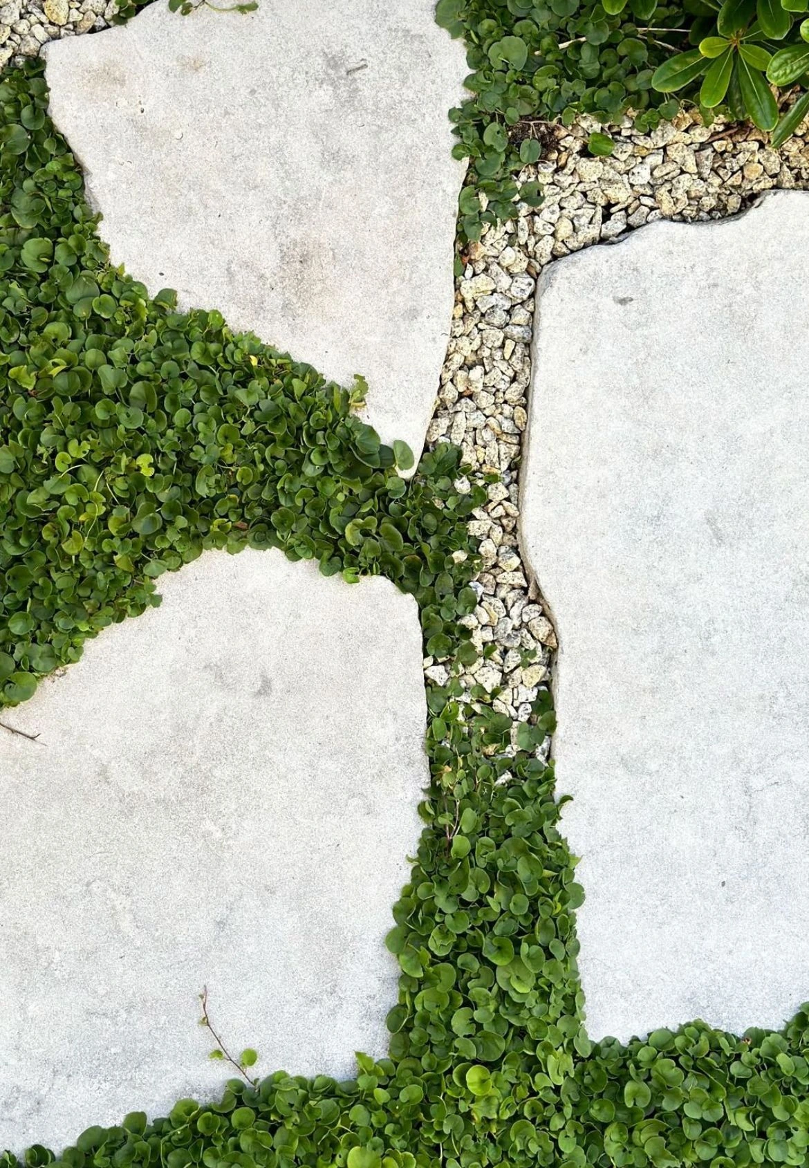 Diseño de espacios verdes: composición vegetal y zonificación