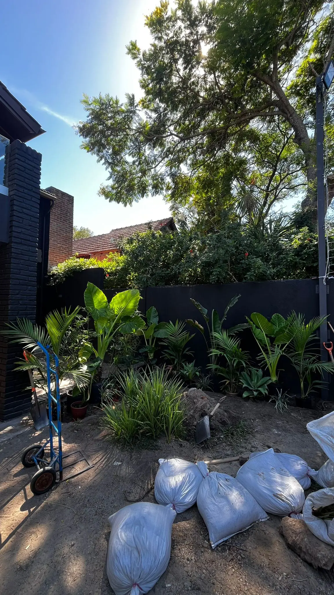 Jardin amplio con vegetacion estructurada