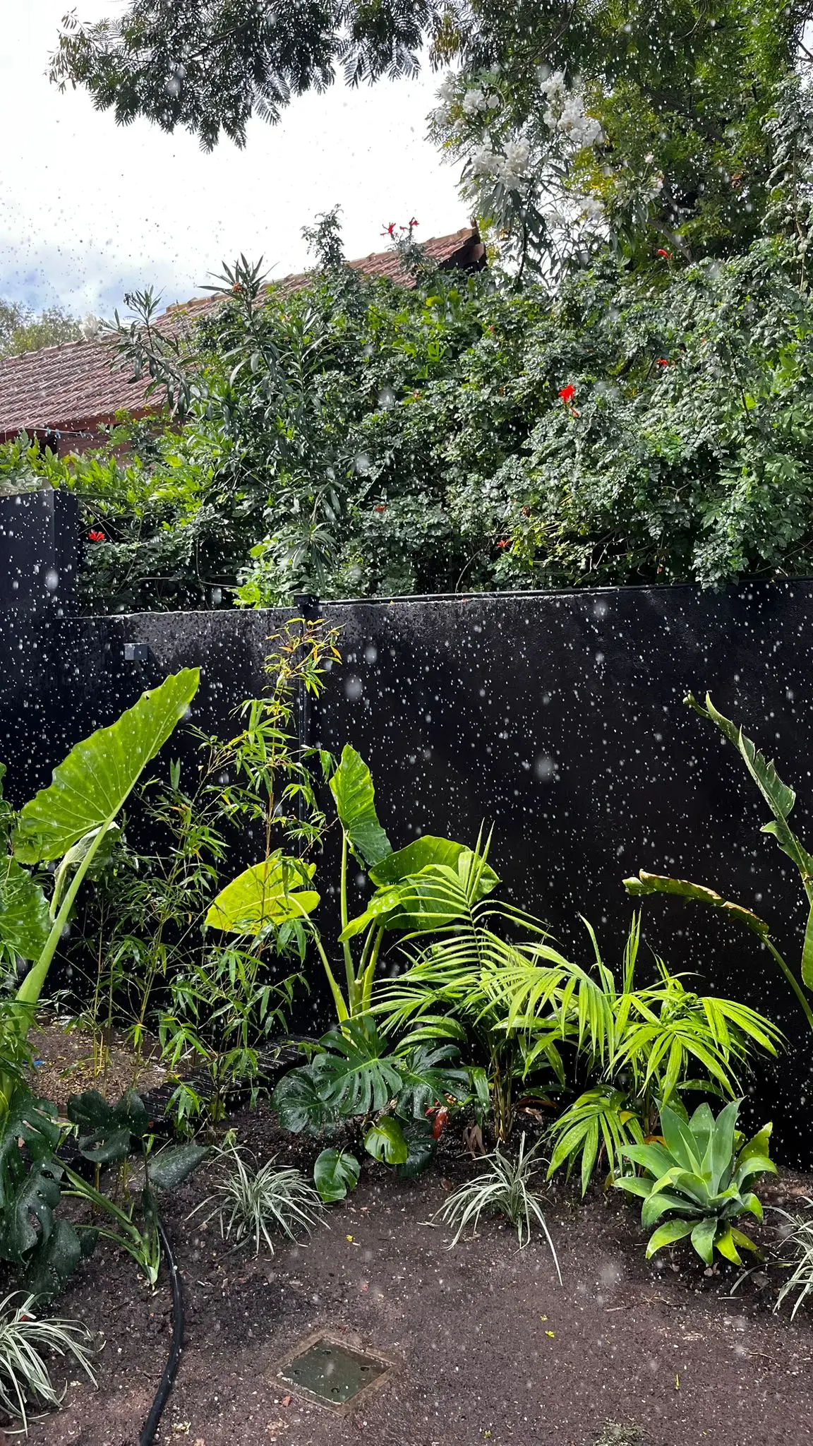 Jardines de mayor escala