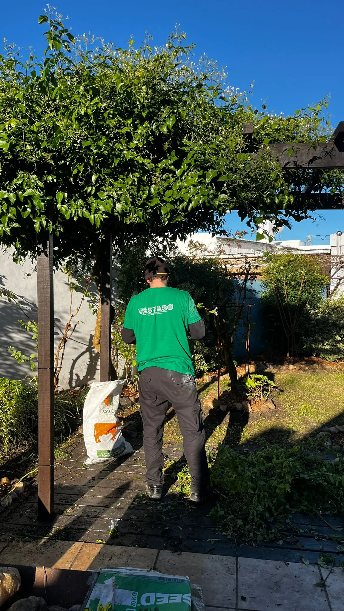 Jardin de mayor escala con recorrido verde