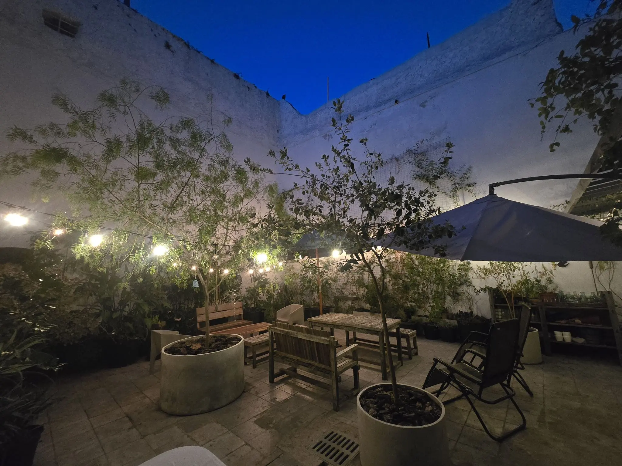 Patio con composicion vegetal y area de estar