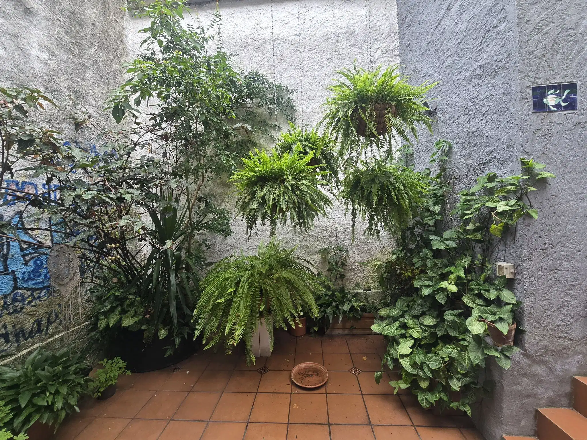 Patio con paisaje domestico y texturas verdes